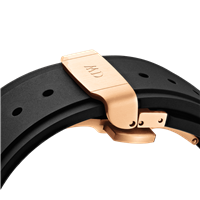 Accessorio per Orologi Daniel Wellington in Acciaio DW01200001 - DW01200001